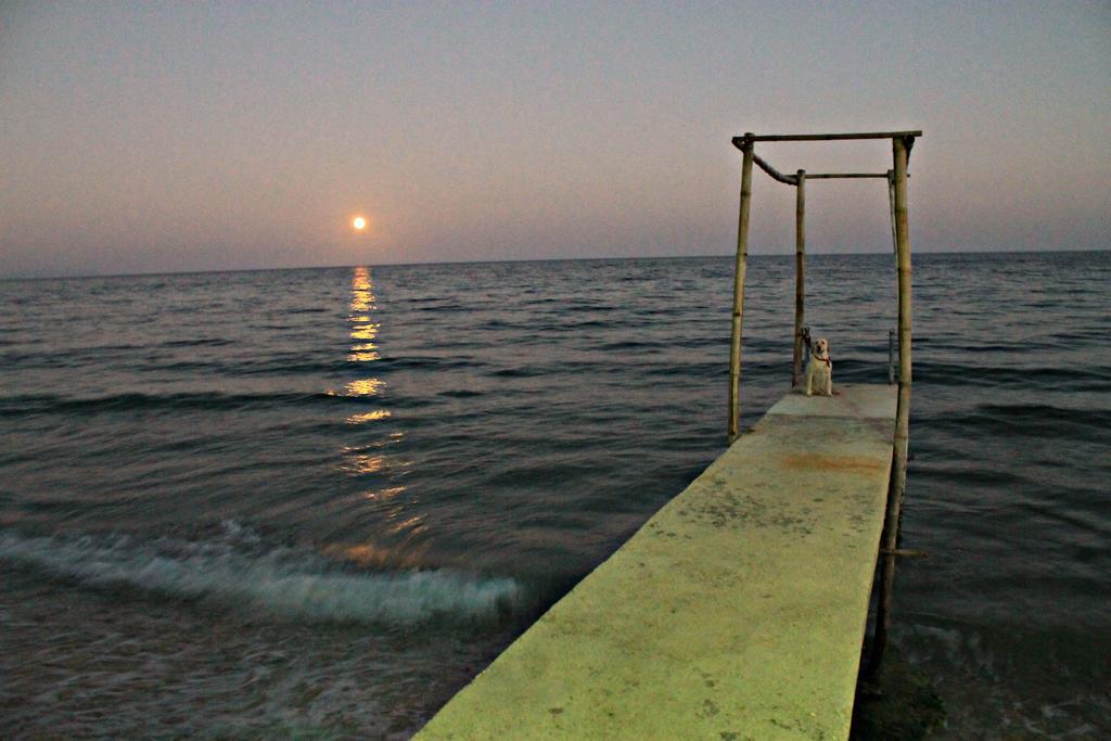 Lagunde Beach Resort Oslob Dış mekan fotoğraf